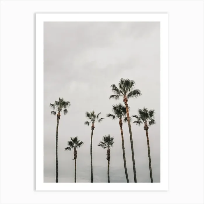 Moody Beach Palms Art PrintIP by Inkish Prints