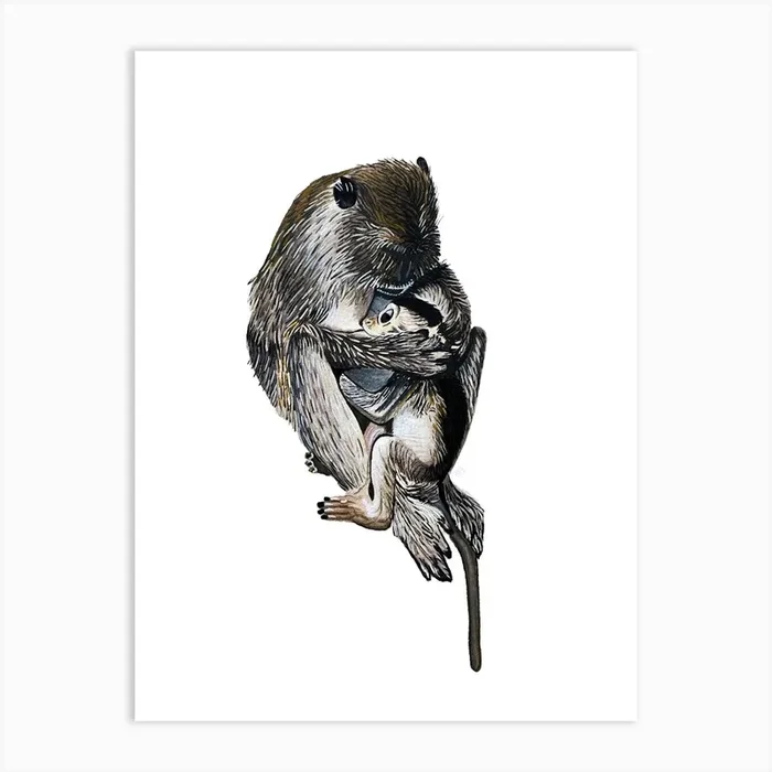 Mother and baby monkey Art Print by LauRoxan