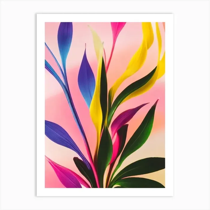 Mother In Law’S Tongue Colourful Illustration Art Print by Bloom & Botany Co