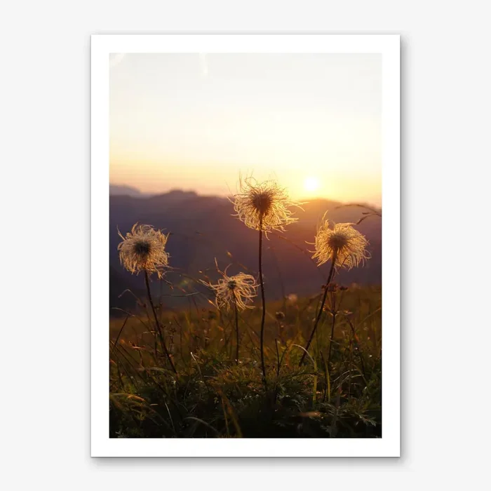 Mountain View 13 Art Print by Marko Koeppe
