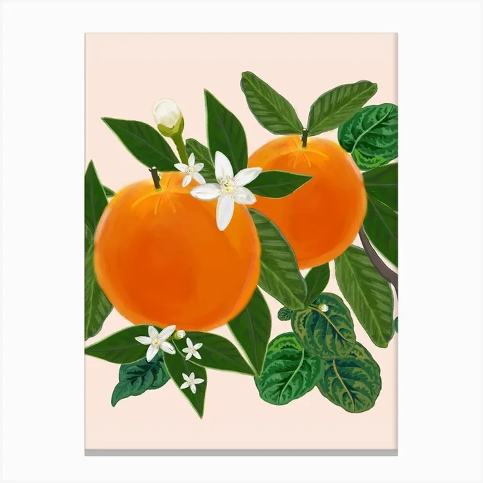 Orange And Flowers Canvas Print by Gulsen Gunel