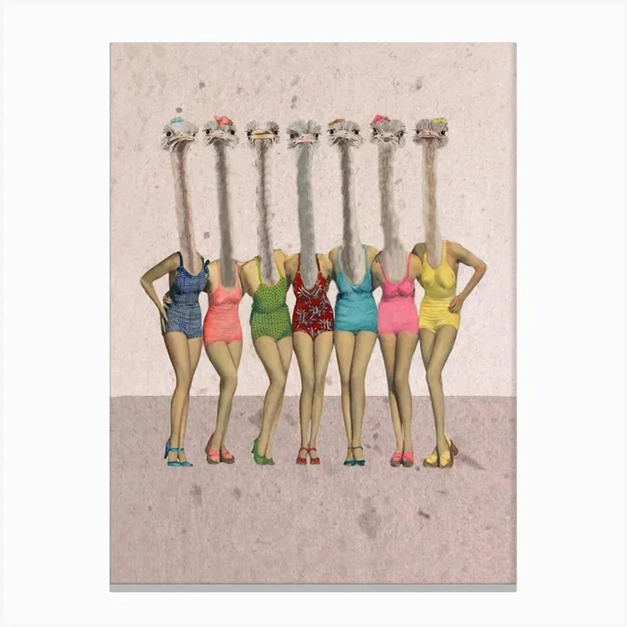 Ostriches In Retro Bathsuits Canvas Print by Coco Deparis