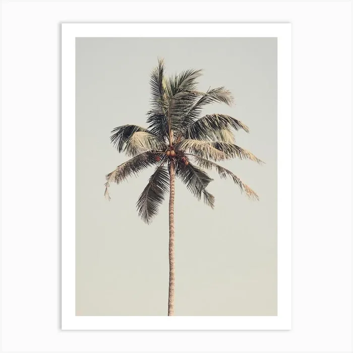Palm Tree 1 Art Print by Victoria Frost