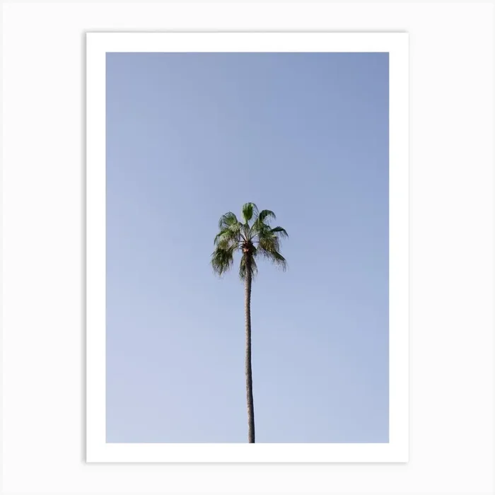 Palm tree, clear sky, Tenerife, Canary Islands Art Print by My Daily Destinations