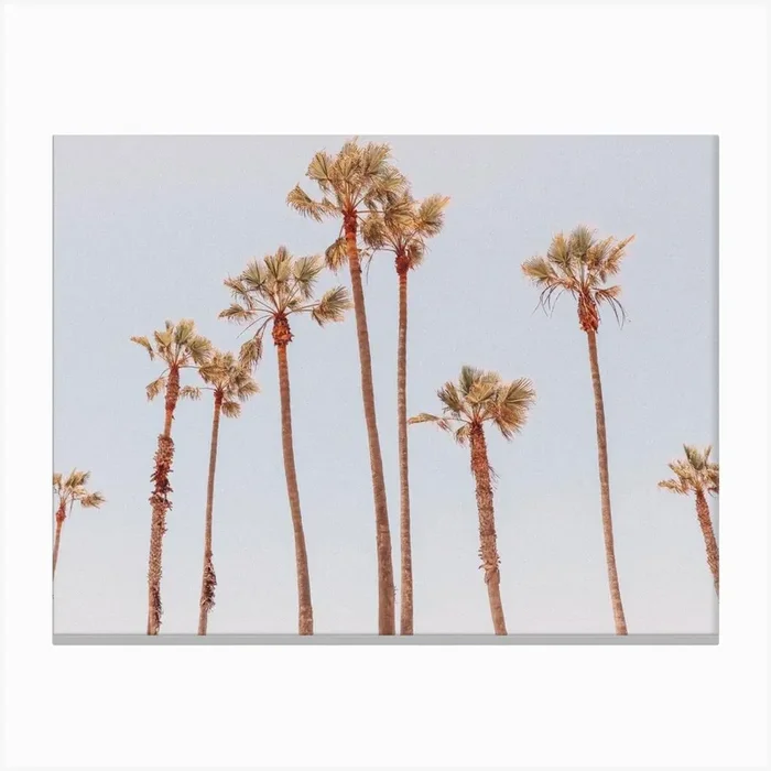 Palms Summer Print by Mambo