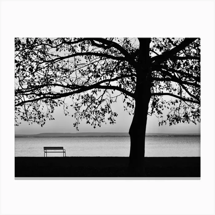 Part Canvas Print by Kinga Herczeg Photography