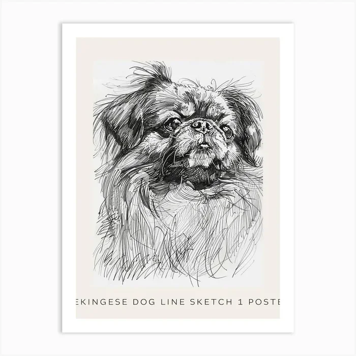 Pekingese Dog Line Sketch 1 Poster Art Print by Woof and Whiskers