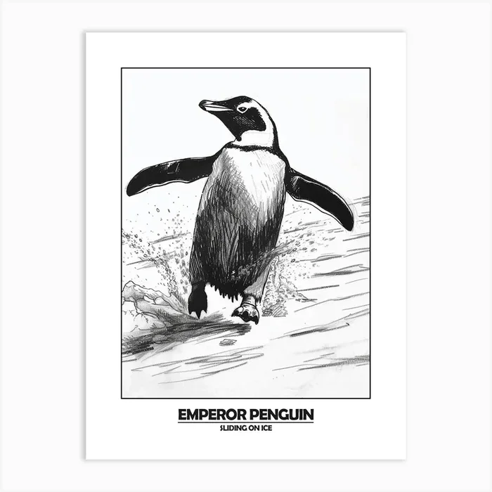 Penguin Sliding On Ice Poster 6 Art Print by Energy of the Sea