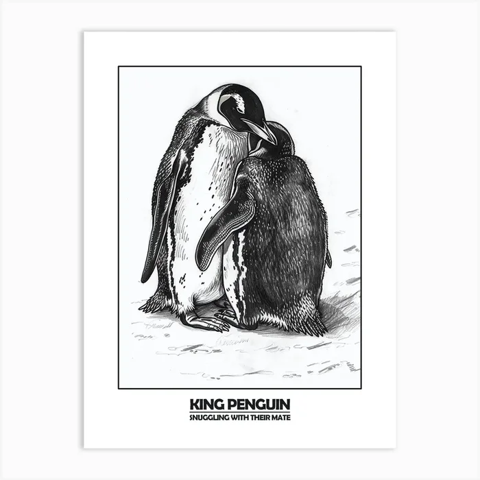 Penguin Snuggling With Their Mate Poster 4 Art Print by Energy of the Sea