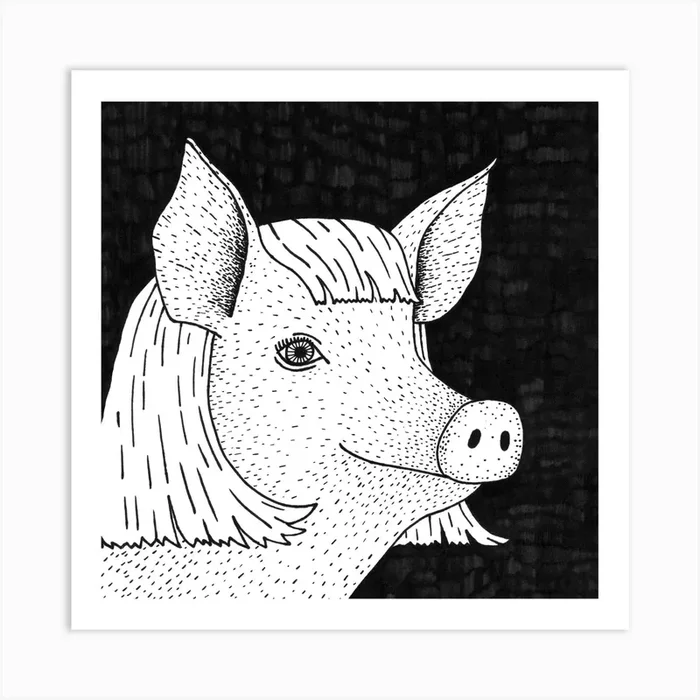 Pig In A Wig Square Art Print by Martina Scott