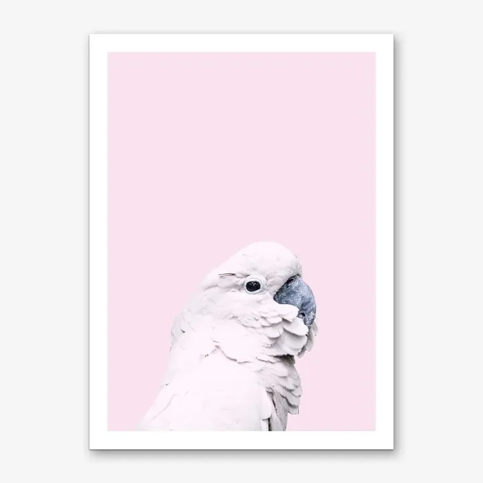 Pink Cockatoo Art Print by Victoria Frost