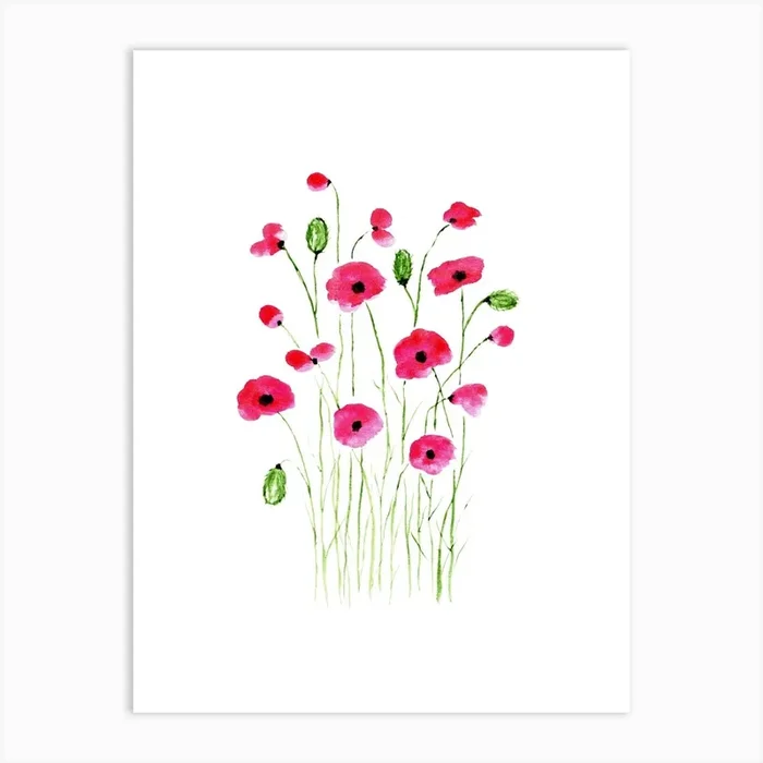 Poppies 1 Art PrintSC by Shiv Creativity
