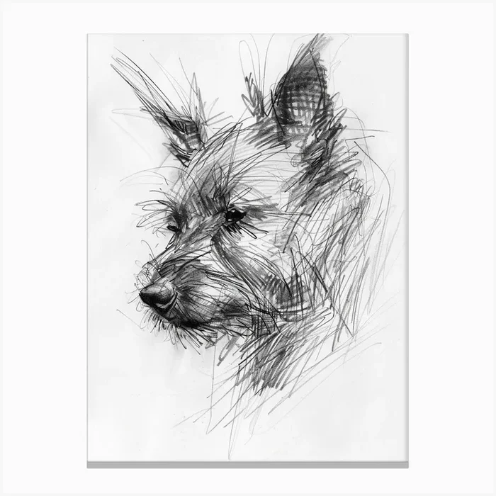 Portuguese Podengo Pequeno Charcoal Dog Line Canvas Print by Woof and Whiskers