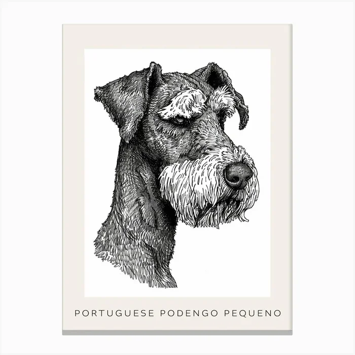 Portuguese Podengo Pequeno Dog Poster 1 Canvas Print by Woof and Whiskers