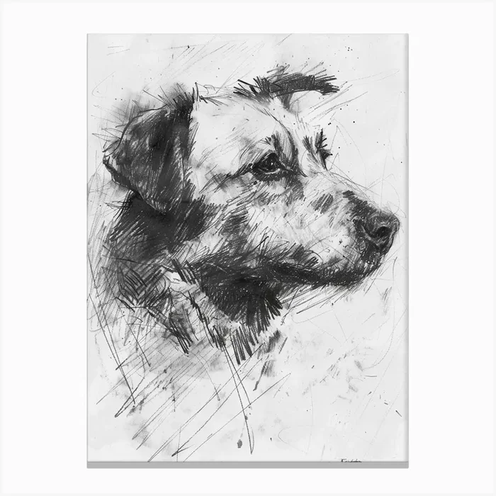 Pyrenean Shepherd Dog Charcoal Line 2 Canvas Print by Woof and Whiskers
