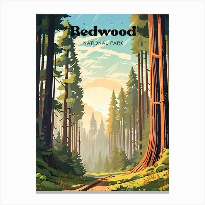 Redwood National Park California Forest Travel Illustration Canvas Print by Wanderscape Travel Art