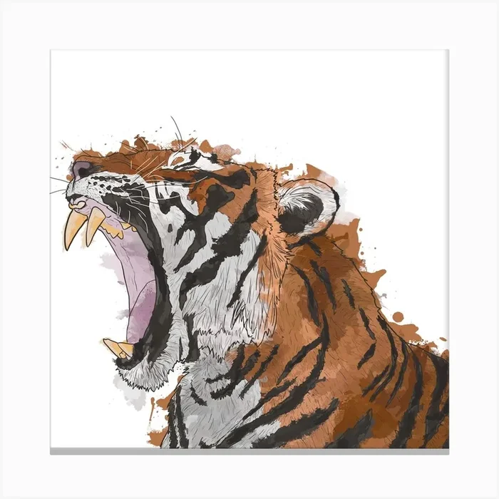 Roaring Tiger White Square Canvas Print by Kits Concepts