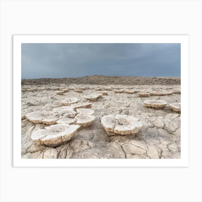 Salt In The Desert Art PrintP by Photolovers