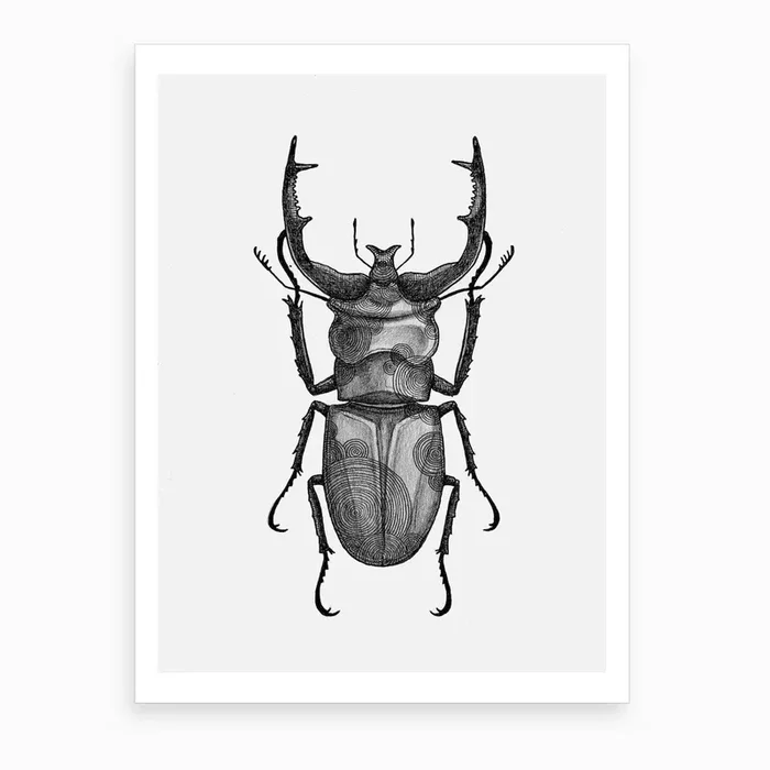 Scarabeo Art Print by Anastasia Chernyavska