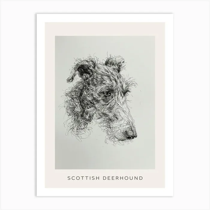 Scottish Deerhound Dog Line Sketch 3 Poster Art Print by Woof and Whiskers