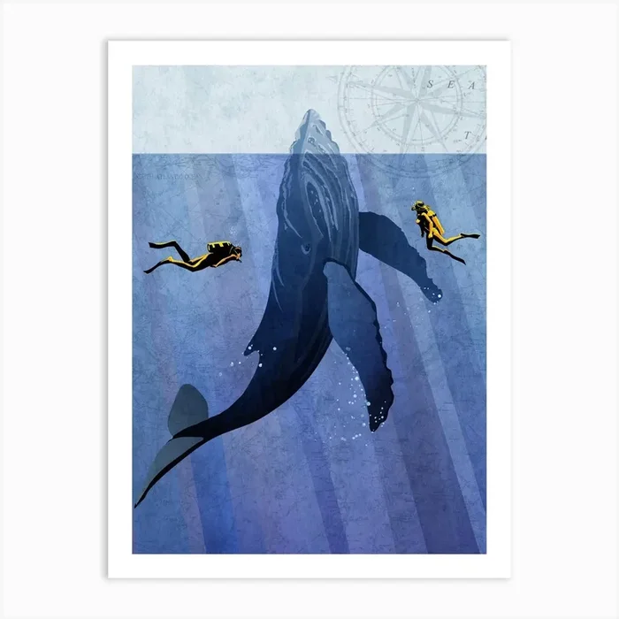 Scuba Whale Dive Art Print by SF Design Studio