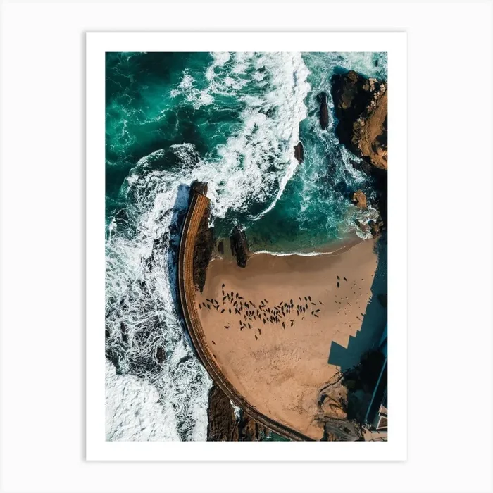 Seal Cove In La Jolla California Art Print by Ryan Szot