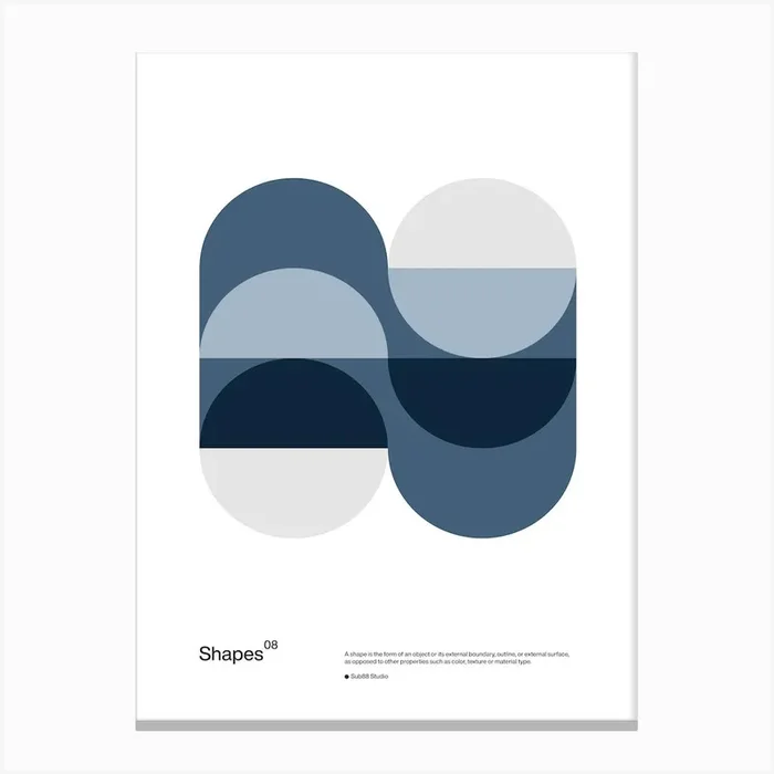 Shape 08 Canvas Print by Sub88 Studio