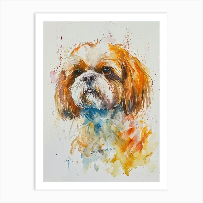 Shih Tzu Watercolor Painting 2 Art Print by Woof and Whiskers