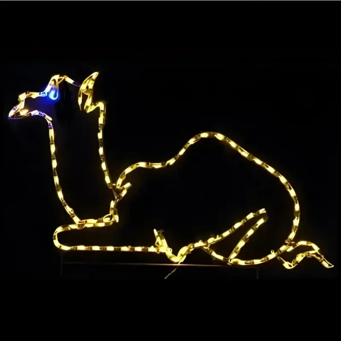 Sitting Camel