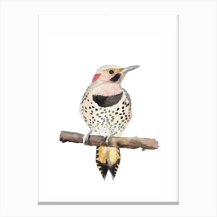 Skandi Bird Canvas Print by Mantika Studio