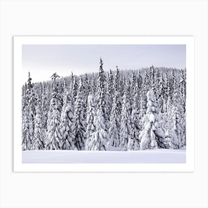 Snowy trees in Sjusjøen, Norway 1 Art Print by My Daily Destinations