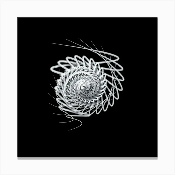 Spiral Spiral Canvas PrintH by HAMMA