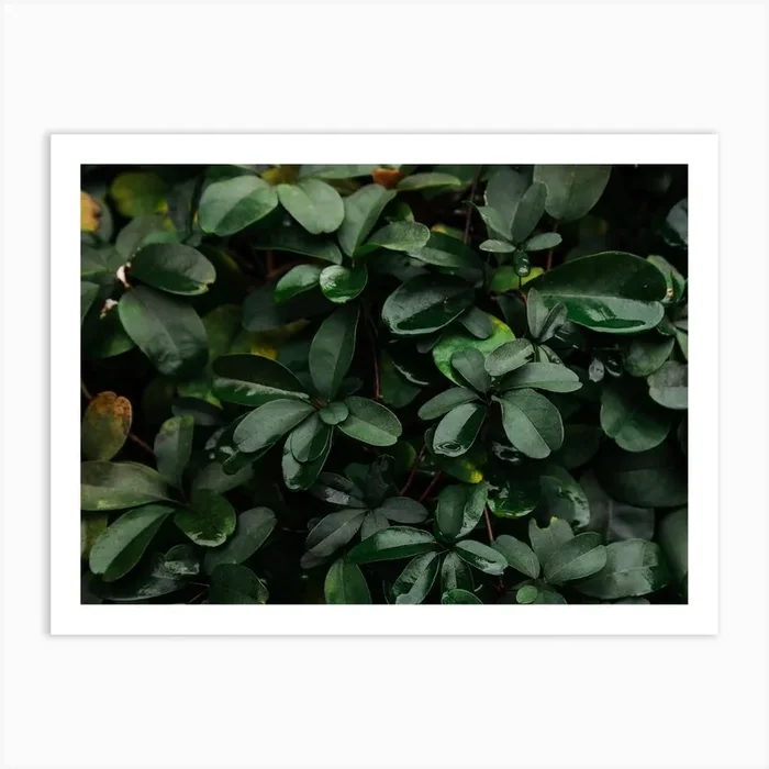 Spring Green II Art Print by Ellyn Smith