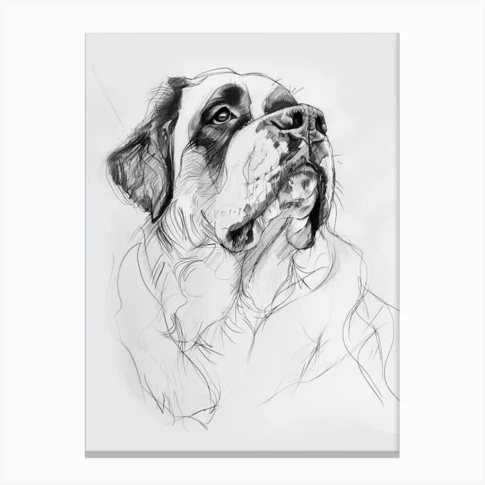 St Bernard Dog Charcoal Line 1 Canvas Print by Woof and Whiskers