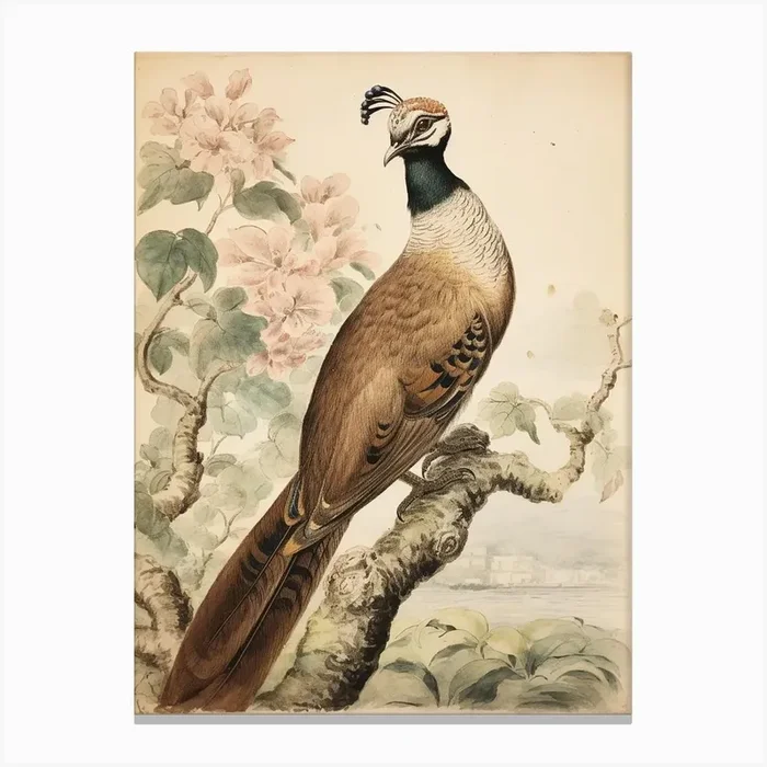 Storybook Animal Watercolour Peacock 2 Canvas Print by Scribble Studio