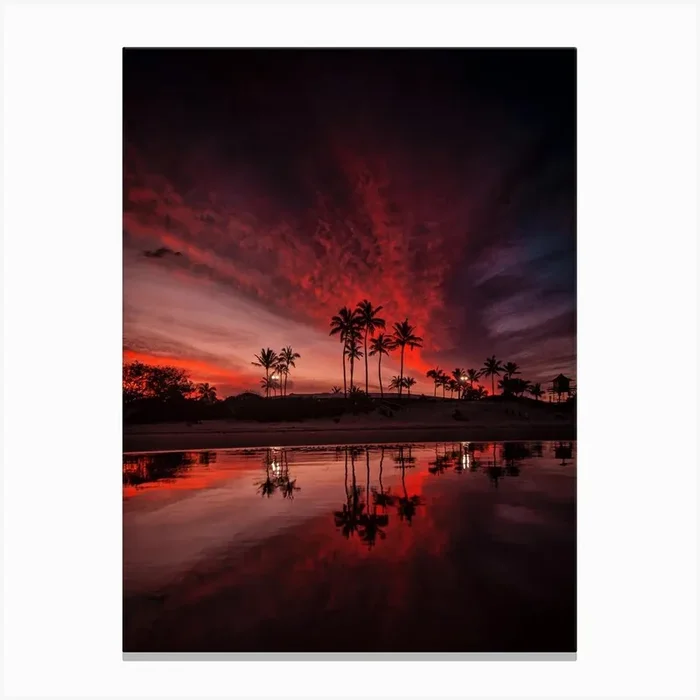 Sunset Palm Reflection Canvas PrintBM by Ben Mulder