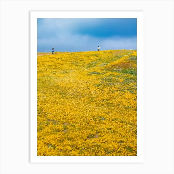 Super Bloom Art Print by Cole Keister