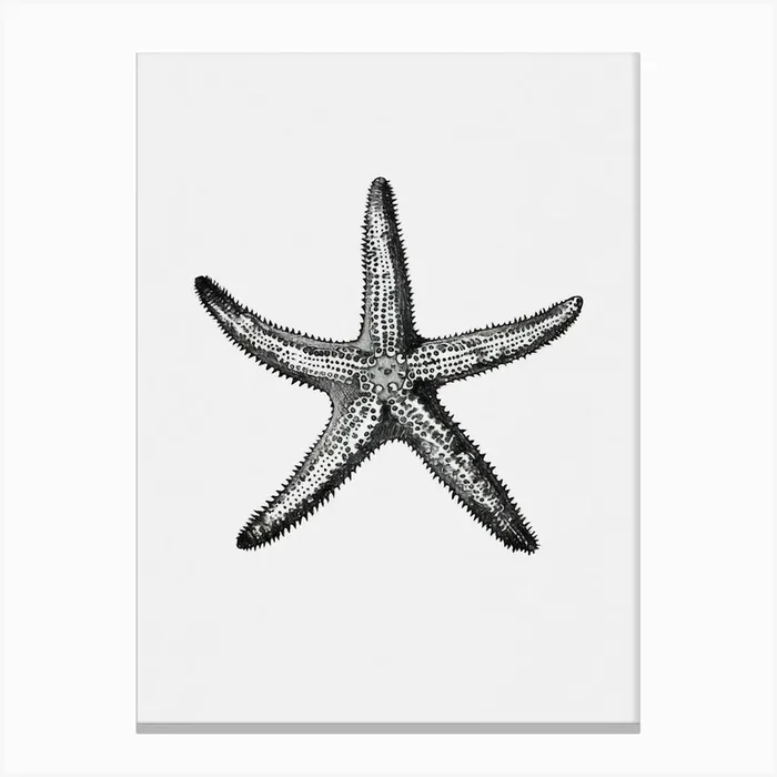 Surf Print Beachy Wall Art Tropical Decor Beach Prints Coastal Decor Ocean Wall Art Hello Summer Starfish Canvas Print by SplishSplashLab