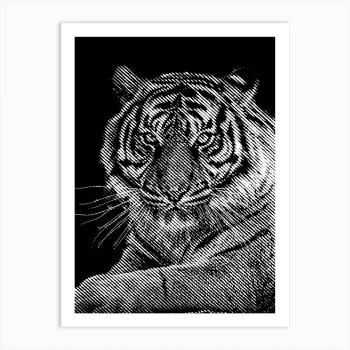 Tiger Close Up BW in my Line Illustration Art PrintAB by Andika Bahtiar