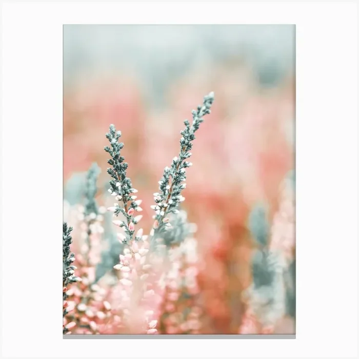 Tiny Flowers Canvas Print by Ingrid Beddoes