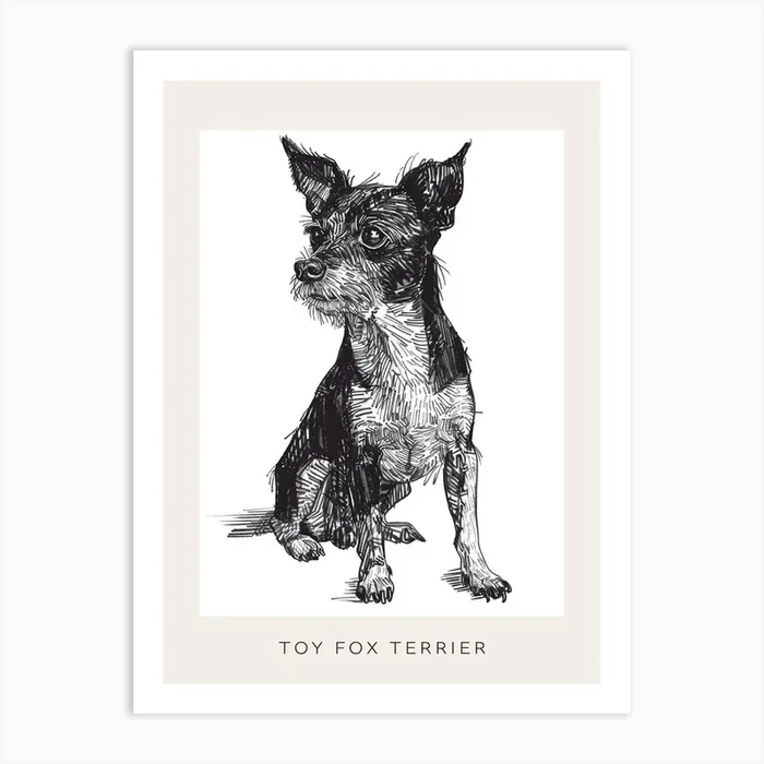 Toy Fox Terrier Dog Line Sketch 4 Poster Art Print by Woof and Whiskers