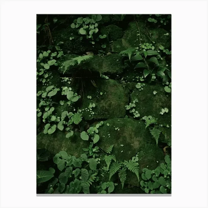 Tropical Textures Canvas Print by Cole Keister