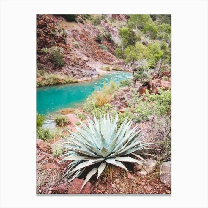 Turquoise Cactus River Canvas Print by Erica Fuchs Photography