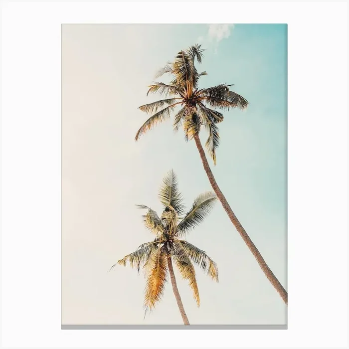 Twin Palms Canvas Print by Indio Page