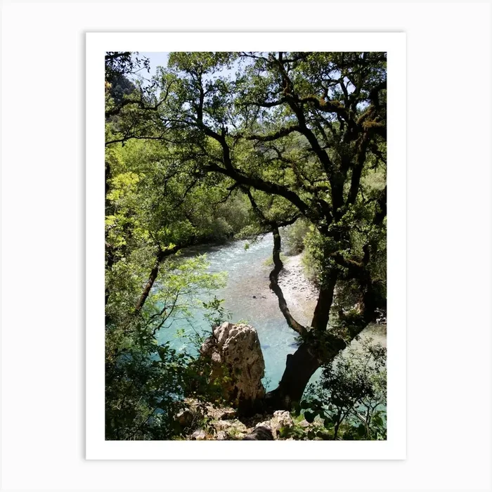 Voidomatis River View Art PrintM by Mitsy