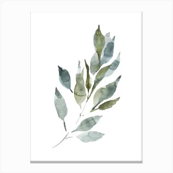 Watercolor Leaf, Olive Branch 5 Canvas PrintA by Articraft