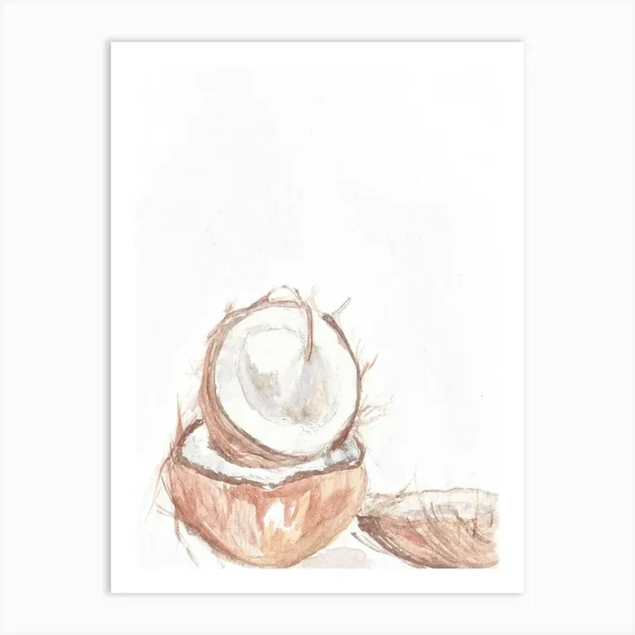 Watercolour 3 Coconuts Art Print by Jenna Caitlin Designs