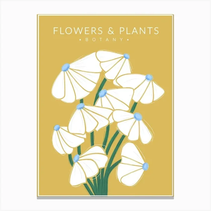 White Flowers Botany Canvas Print by showmemars