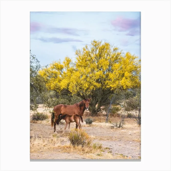Wild Horses Canvas Print by Erica Fuchs Photography