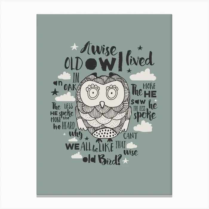 Wise Old Bird Canvas Print by Baldy and the Fidget